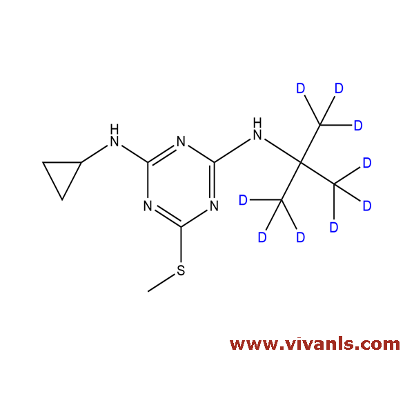 Stable Isotope Labeled Compounds-Irgarol-d9-1663671190.png